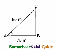 Samacheer Kalvi 10th Maths Guide Chapter 6 Trigonometry Additional Questions 11