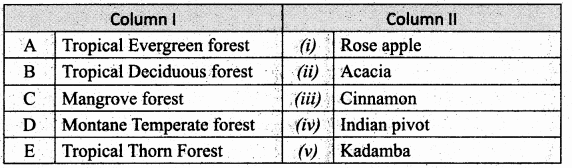 Samacheer Kalvi 10th Social Science Guide Geography Chapter 6 Physical Geography of Tamil Nadu 10