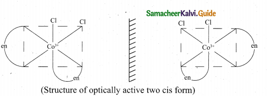 Tamil Nadu 12th Chemistry Model Question Paper 5 English Medium - 19