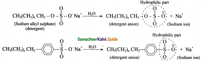 Tamil Nadu 12th Chemistry Model Question Paper 5 English Medium - 28