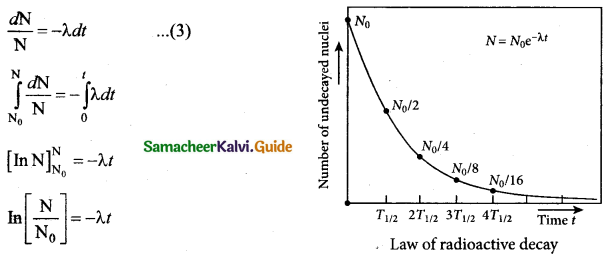 Tamil Nadu 12th Physics Model Question Paper 1 English Medium 31