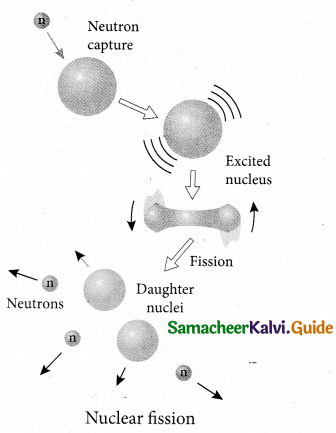 Tamil Nadu 12th Physics Model Question Paper 2 English Medium 32