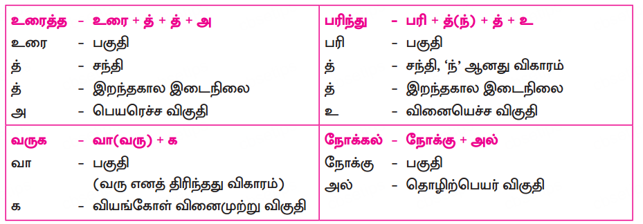 Samacheer Kalvi 10th Tamil Guide Chapter 3.2 காசிக்காண்டம் - 1