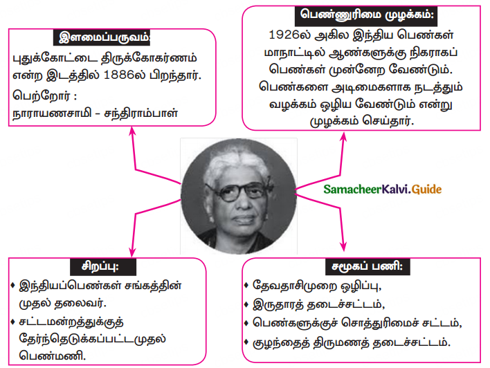 Samacheer Kalvi 10th Tamil Guide Chapter 5.4 புதியநம்பிக்கை - 2
