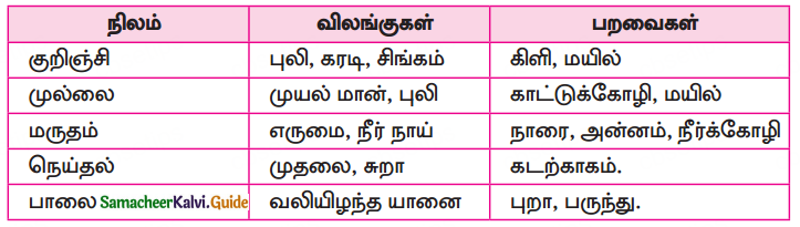 Samacheer Kalvi 10th Tamil Guide Chapter 6.6 அகப்பொருள் இலக்கணம் - 12