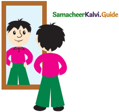 Samacheer Kalvi 5th Maths Guide Term 1 Chapter 1 Geometry 13