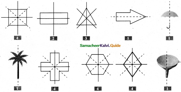 Samacheer Kalvi 5th Maths Guide Term 1 Chapter 1 Geometry 25