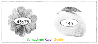 Samacheer Kalvi 5th Maths Guide Term 1 Chapter 2 Numbers InText Questions 13