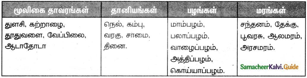 Samacheer Kalvi 6th Tamil Guide Chapter 2.1 சிலப்பதிகாரம் 2