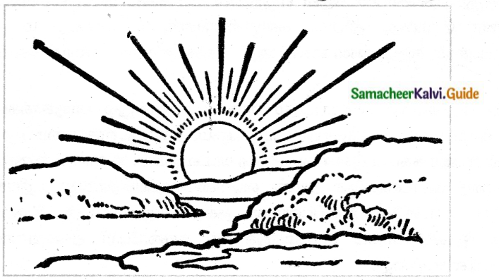 Samacheer Kalvi 6th Tamil Guide Chapter 5.5 மயங்கொலிகள் 2