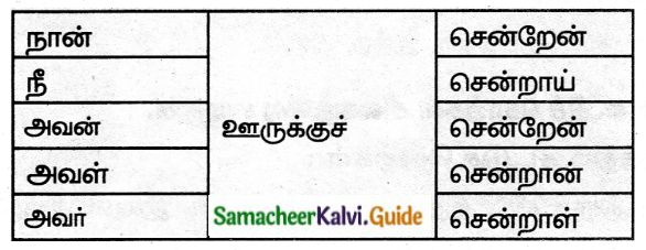 Samacheer Kalvi 6th Tamil Guide Chapter 6.5 சுட்டெழுத்துகள், வினா எழுத்துகள் 2