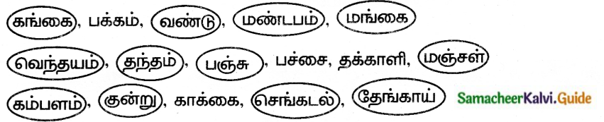 Samacheer Kalvi 6th Tamil Guide Chapter Chapter 4.5 இன எழுத்துகள் 1