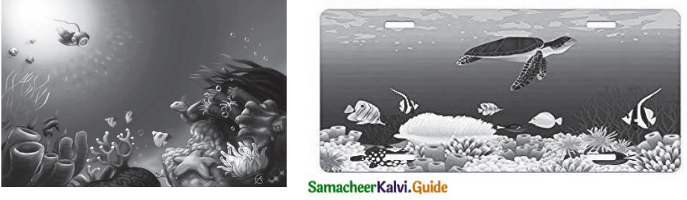 Samacheer Kalvi 7th Tamil Guide Chapter 4.4 ஆழ்கடலின் அடியில் 1