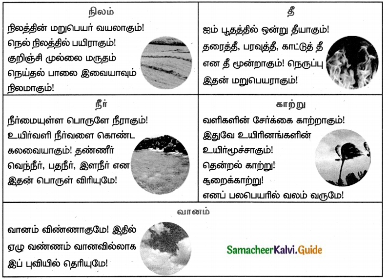 Samacheer Kalvi 8th Tamil Guide Chapter 1.2 தமிழ்மொழி மரபு 1