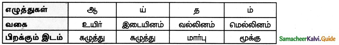 Samacheer Kalvi 8th Tamil Guide Chapter 1.5 ஏழுத்துகளின் பிறப்பு 1