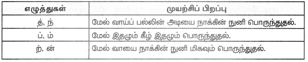 Samacheer Kalvi 8th Tamil Guide Chapter 1.5 ஏழுத்துகளின் பிறப்பு 10