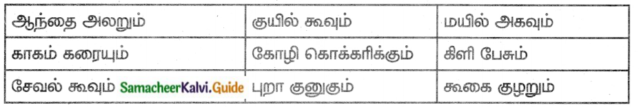Samacheer Kalvi 8th Tamil Guide Chapter 1.5 ஏழுத்துகளின் பிறப்பு 2