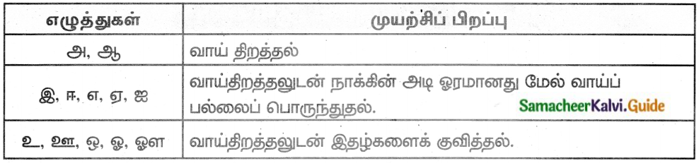 Samacheer Kalvi 8th Tamil Guide Chapter 1.5 ஏழுத்துகளின் பிறப்பு 6