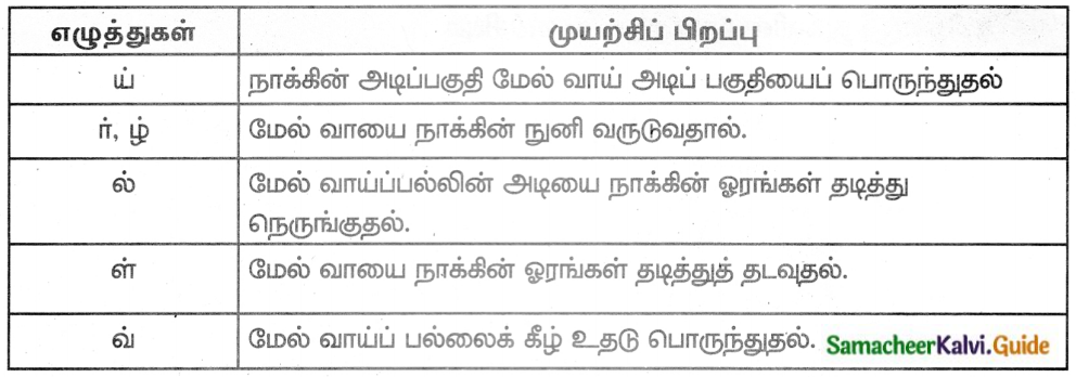 Samacheer Kalvi 8th Tamil Guide Chapter 1.5 ஏழுத்துகளின் பிறப்பு 7