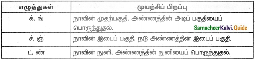 Samacheer Kalvi 8th Tamil Guide Chapter 1.5 ஏழுத்துகளின் பிறப்பு 9