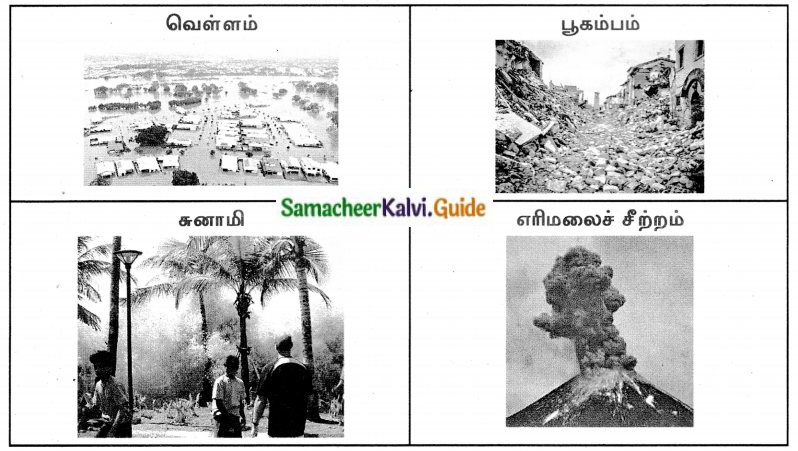 Samacheer Kalvi 8th Tamil Guide Chapter 2.2 கோணக்காத்துப் பாட்டு 2