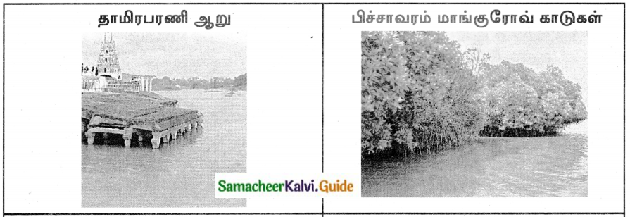 Samacheer Kalvi 8th Tamil Guide Chapter 2.3 நீல ம் பொது 2
