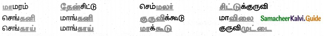 Samacheer Kalvi 8th Tamil Guide Chapter 4.5 வேற்றுமை 3