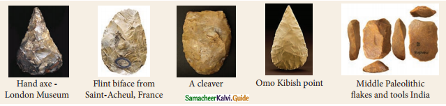 Samacheer Kalvi 9th Social Science Guide History Chapter 1 Evolution of Humans and Society - Prehistoric Period