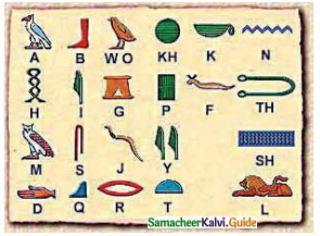 Samacheer Kalvi 9th Social Science Guide History Chapter 2 Ancient Civilisations