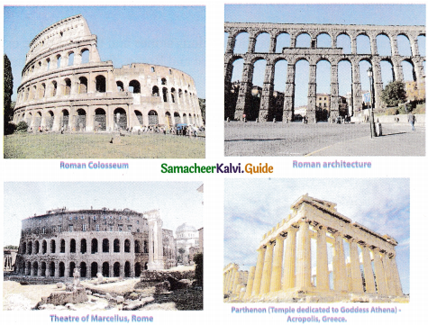 Samacheer Kalvi 9th Social Science Guide History Chapter 5 The Classical World