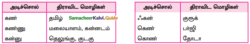 Samacheer Kalvi 9th Tamil Guide Chapter 1.1 திராவிட மொழிக்குடும்பம் - 2