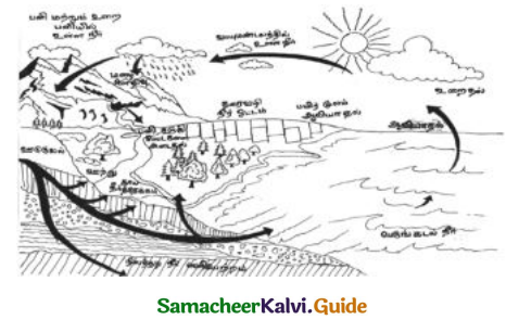 Samacheer Kalvi 9th Tamil Guide Chapter 2.6 துணைவினைகள் - 4