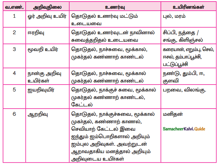 Samacheer Kalvi 9th Tamil Guide Chapter 4.3 உயிர்வகை - 3