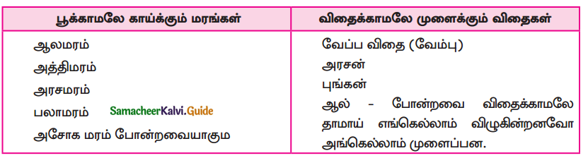 Samacheer Kalvi 9th Tamil Guide Chapter 5.3 சிறுபஞ்சமூலம் - 1