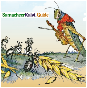Samacheer Kalvi 10th English Guide Poem Chapter 4 The Ant and the Cricket img 1