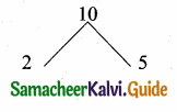 Samacheer Kalvi 10th Maths Guide Chapter 3 Algebra Ex 3.10 4