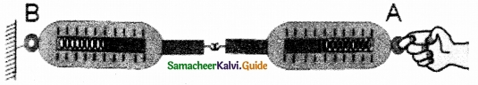 Samacheer Kalvi 10th Science Guide Chapter 1 Laws of Motion 13