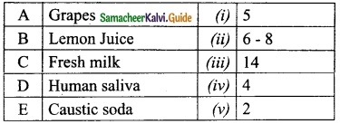 Samacheer Kalvi 10th Science Guide Chapter 10 Types of Chemical Reactions 12