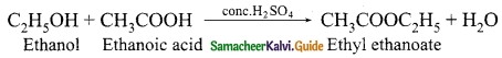 Samacheer Kalvi 10th Science Guide Chapter 11 Carbon and its Compounds 18