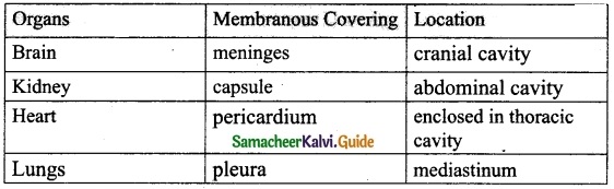 Samacheer Kalvi 10th Science Guide Chapter 13 Structural Organisation of Animals 2