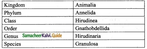 Samacheer Kalvi 10th Science Guide Chapter 13 Structural Organisation of Animals 5