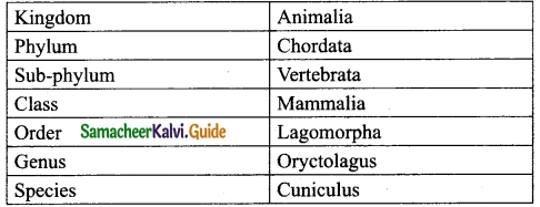 Samacheer Kalvi 10th Science Guide Chapter 13 Structural Organisation of Animals 6