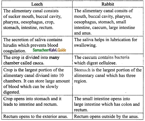 Samacheer Kalvi 10th Science Guide Chapter 13 Structural Organisation of Animals 8