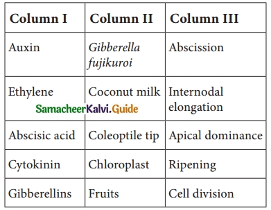 Samacheer Kalvi 10th Science Guide Chapter 16 Plant and Animal Hormones 1