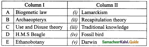Samacheer Kalvi 10th Science Guide Chapter 19 Origin and Evolution of Life 3
