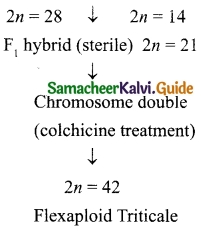 Samacheer Kalvi 10th Science Guide Chapter 20 Breeding and Biotechnology 7