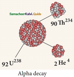 Samacheer Kalvi 10th Science Guide Chapter 6 Nuclear Physics 17