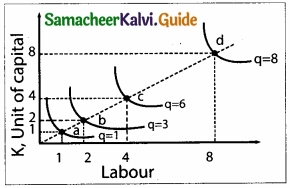 Samacheer Kalvi 11th Economics Guide Chapter 3 Production Analysis img 10