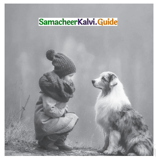 Samacheer Kalvi 11th Tamil Guide Chapter 8.6 மெய்ப்புத் திருத்தக் குறியீடுகள் - 5