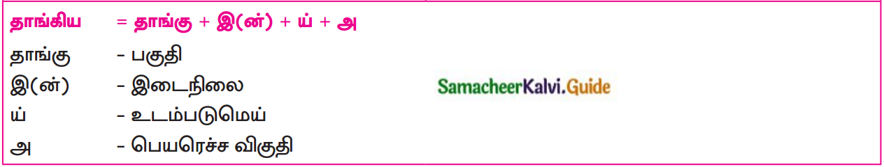 Samacheer Kalvi 12th Tamil Guide Chapter 8.4 சிறுபாணாற்றுப்படை 4